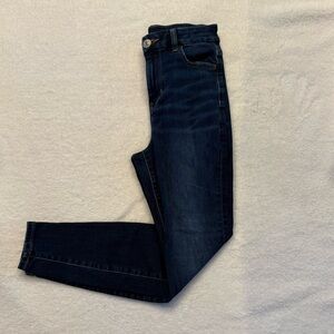 American Eagle Curvy Jegging